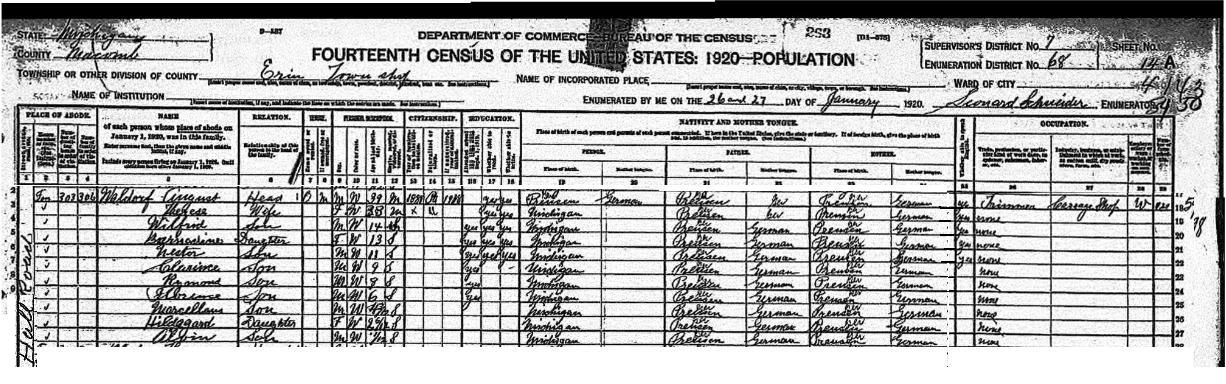 1920 U.S. Census Form